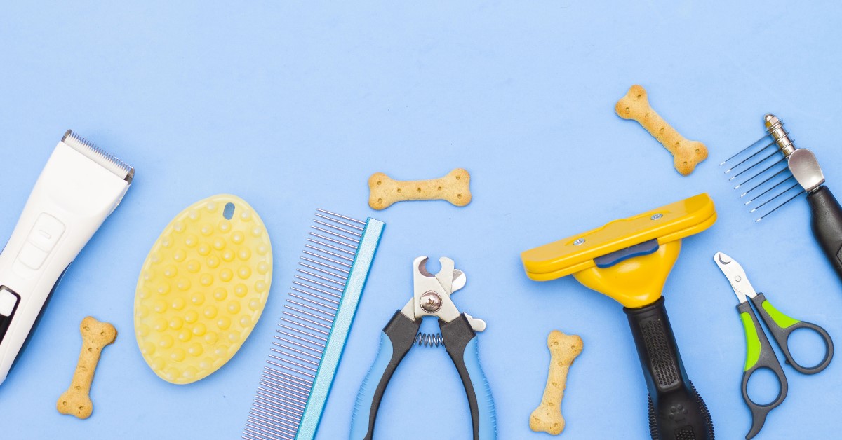 Dog grooming outlet tools and uses